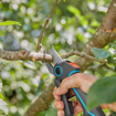 Slika Makaze za orezivanje akumulatorske AssistCut GARDENA GA 12222-20
